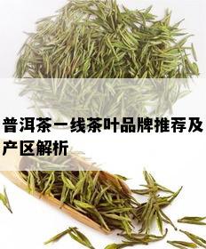 普洱茶一线茶叶品牌推荐及产区解析