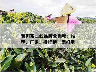 普洱茶二线品牌全揭秘：推荐、厂家、排行榜一网打尽