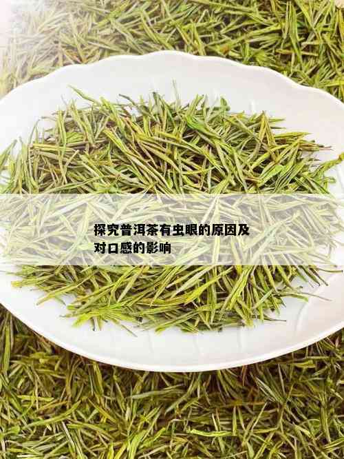 探究普洱茶有虫眼的原因及对口感的影响