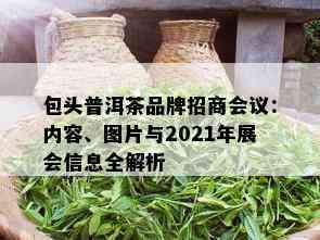 包头普洱茶品牌招商会议：内容、图片与2021年展会信息全解析