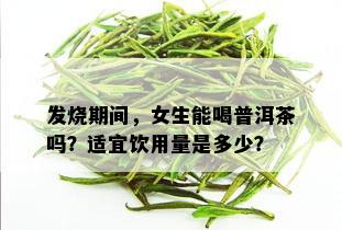 发烧期间，女生能喝普洱茶吗？适宜饮用量是多少？