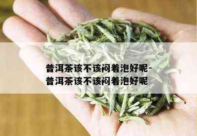 普洱茶该不该闷着泡好呢-普洱茶该不该闷着泡好呢