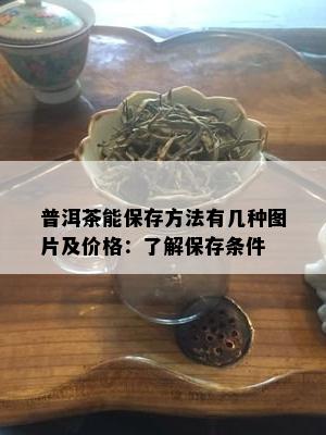 普洱茶能保存方法有几种图片及价格：了解保存条件