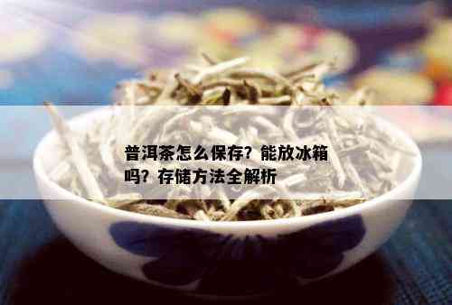 普洱茶怎么保存？能放冰箱吗？存储方法全解析