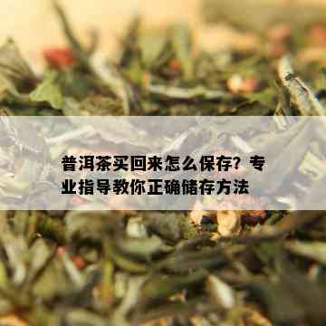 普洱茶买回来怎么保存？专业指导教你正确储存方法