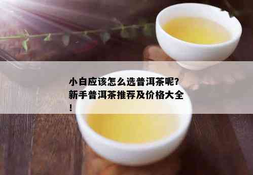 小白应该怎么选普洱茶呢？新手普洱茶推荐及价格大全！