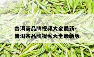 普洱茶品牌视频大全最新-普洱茶品牌视频大全最新版