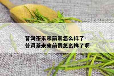 普洱茶未来前景怎么样了-普洱茶未来前景怎么样了啊