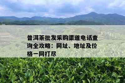 普洱茶批发采购渠道电话查询全攻略：网址、地址及价格一网打尽