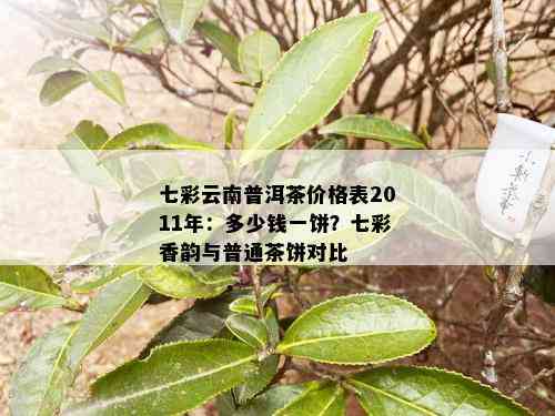 七彩云南普洱茶价格表2011年：多少钱一饼？七彩香韵与普通茶饼对比