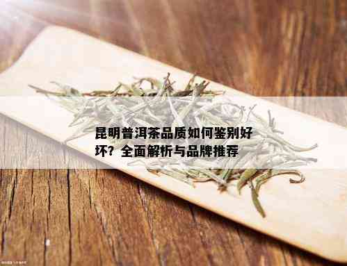 昆明普洱茶品质如何鉴别好坏？全面解析与品牌推荐