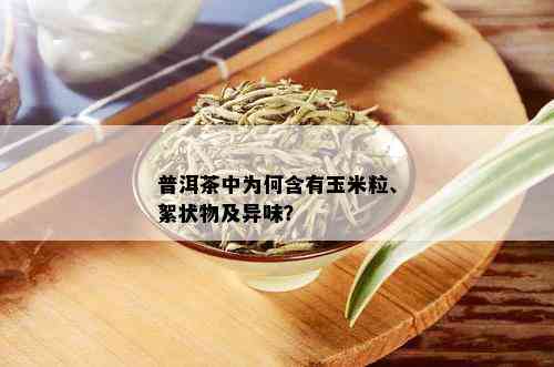 普洱茶中为何含有玉米粒、絮状物及异味？