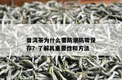 普洱茶为什么要防潮防霉保存？了解其重要性和方法