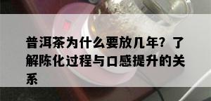 普洱茶为什么要放几年？了解陈化过程与口感提升的关系