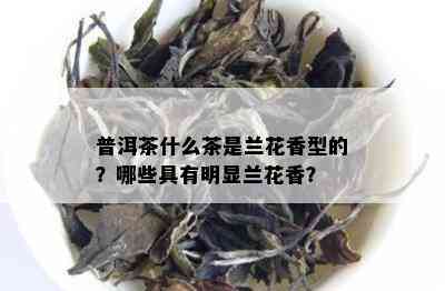 普洱茶什么茶是兰花香型的？哪些具有明显兰花香？