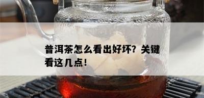 普洱茶怎么看出好坏？关键看这几点！