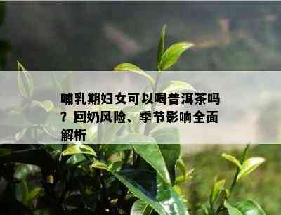 哺乳期妇女可以喝普洱茶吗？回奶风险、季节影响全面解析