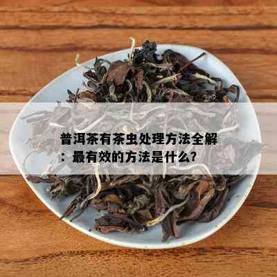 普洱茶有茶虫处理方法全解：最有效的方法是什么？