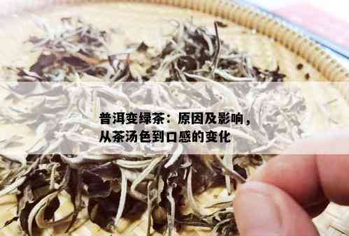 普洱变绿茶：原因及影响，从茶汤色到口感的变化