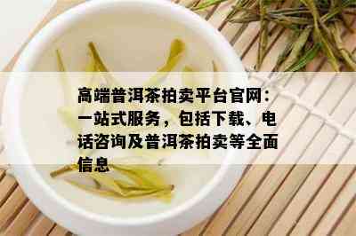 高端普洱茶拍卖平台官网：一站式服务，包括下载、电话咨询及普洱茶拍卖等全面信息