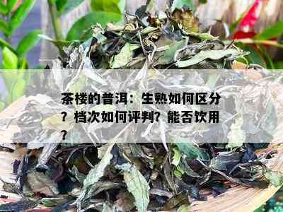 茶楼的普洱：生熟如何区分？档次如何评判？能否饮用？