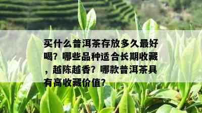 买什么普洱茶存放多久更好喝？哪些品种适合长期收藏，越陈越香？哪款普洱茶具有高收藏价值？