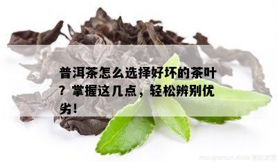 普洱茶怎么选择好坏的茶叶？掌握这几点，轻松辨别优劣！