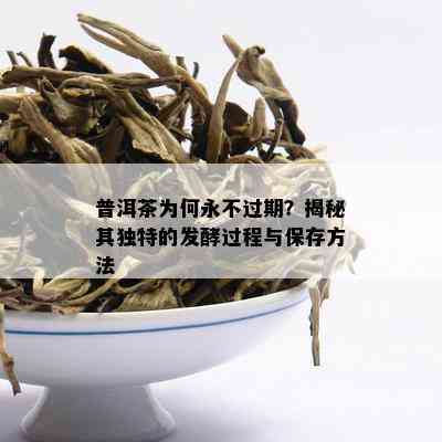 普洱茶为何永不过期？揭秘其独特的发酵过程与保存方法