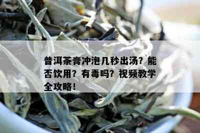 普洱茶膏冲泡几秒出汤？能否饮用？有吗？视频教学全攻略！