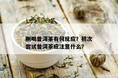 刚喝普洱茶有何反应？初次尝试普洱茶应注意什么？