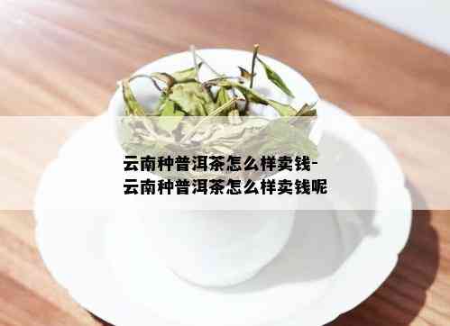 云南种普洱茶怎么样卖钱-云南种普洱茶怎么样卖钱呢