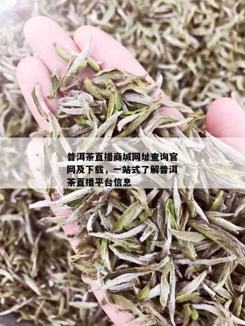 普洱茶直播商城网址查询官网及下载，一站式了解普洱茶直播平台信息