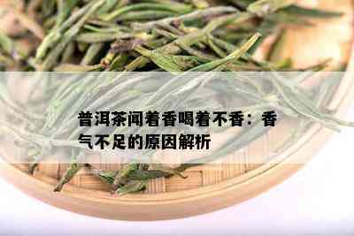 普洱茶闻着香喝着不香：香气不足的原因解析