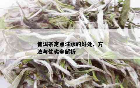 普洱茶定点注水的好处、方法与优劣全解析