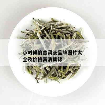 小时候的普洱茶品牌图片大全及价格高清集锦