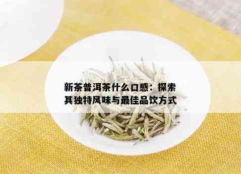 新茶普洱茶什么口感：探索其独特风味与更佳品饮方式