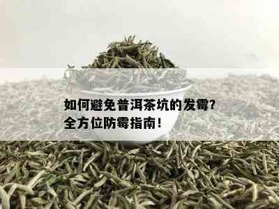 如何避免普洱茶坑的发霉？全方位防霉指南！