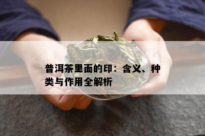 普洱茶里面的印：含义、种类与作用全解析