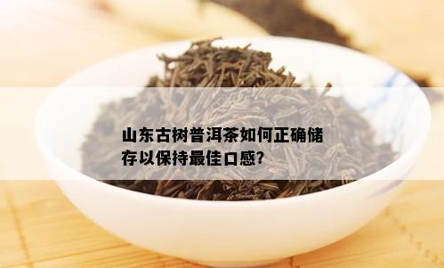 山东古树普洱茶如何正确储存以保持更佳口感？