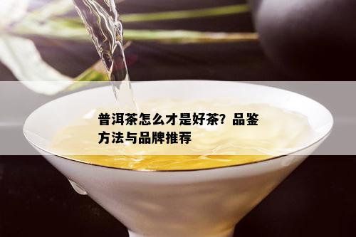 普洱茶怎么才是好茶？品鉴方法与品牌推荐