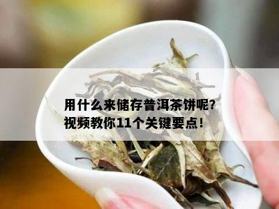 用什么来储存普洱茶饼呢？视频教你11个关键要点！