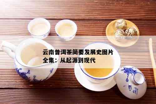 云南普洱茶简要发展史图片全集：从起源到现代