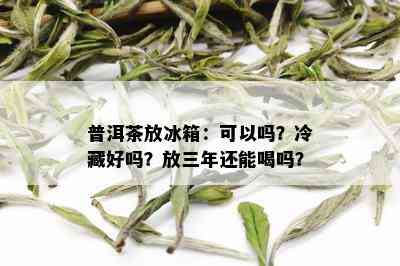 普洱茶放冰箱：可以吗？冷藏好吗？放三年还能喝吗？