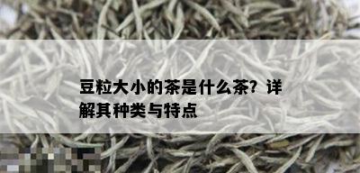 豆粒大小的茶是什么茶？详解其种类与特点