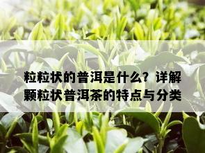 粒粒状的普洱是什么？详解颗粒状普洱茶的特点与分类