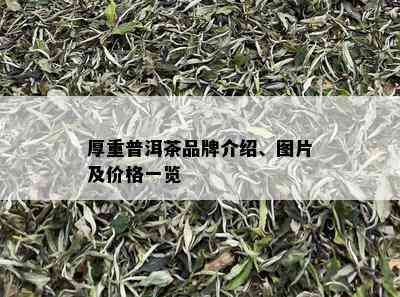 厚重普洱茶品牌介绍、图片及价格一览