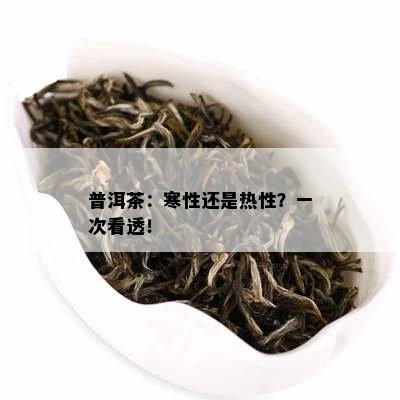 普洱茶：寒性还是热性？一次看透！