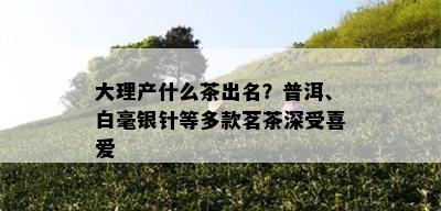 大理产什么茶出名？普洱、白毫银针等多款茗茶深受喜爱