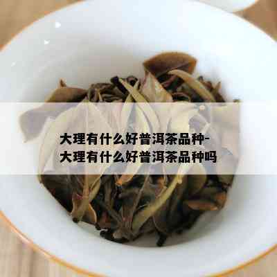 大理有什么好普洱茶品种-大理有什么好普洱茶品种吗