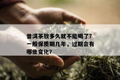 普洱茶放多久就不能喝了？一般保质期几年，过期会有哪些变化？